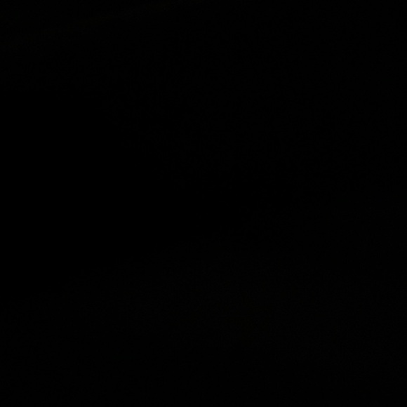 Meet your Posher, Rhianna - Picture 1 of 1